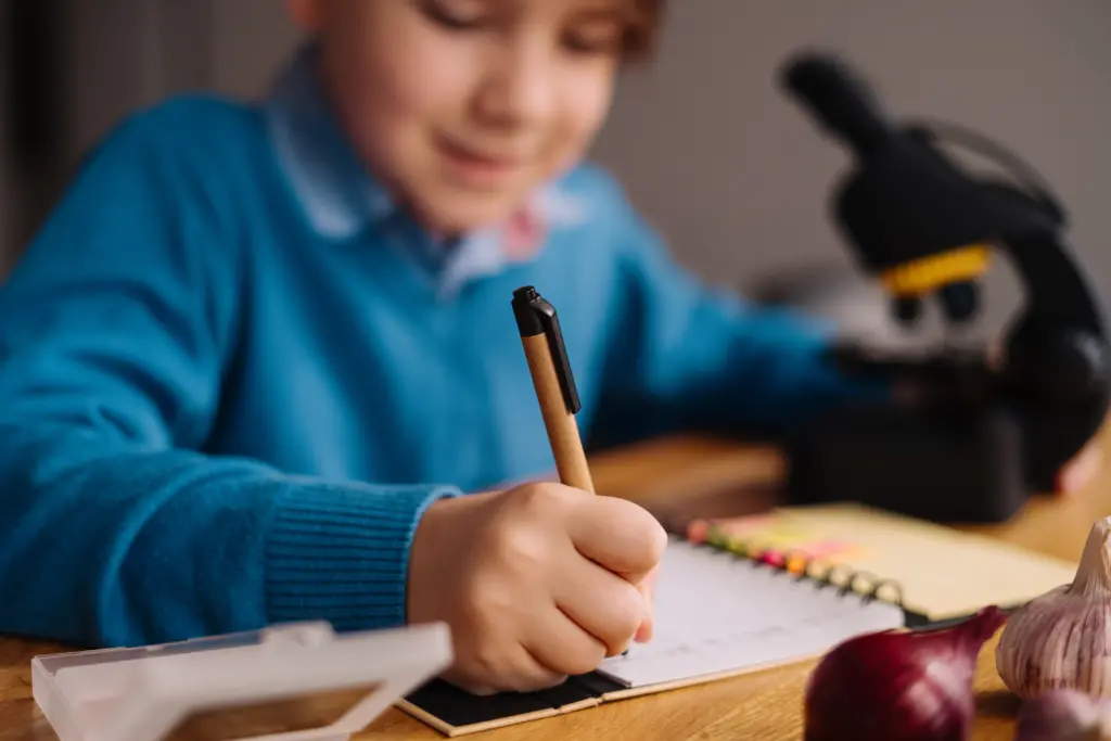 Preteen boy, Education and distance learning